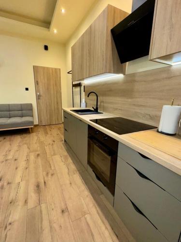 Kuchnia lub aneks kuchenny w obiekcie Bastet Apartamenty