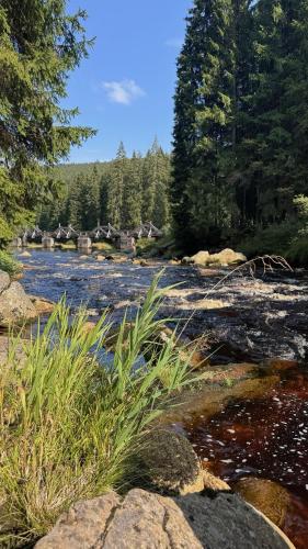 a river with rocks and trees in the background at Farma František in Stachy