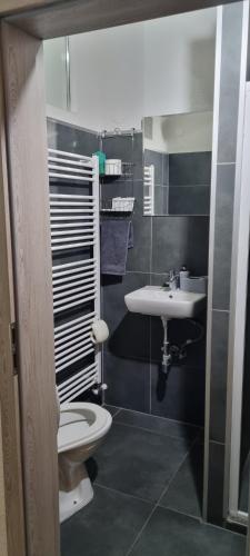 Koupelna v ubytování Apartman Ambrak č.3