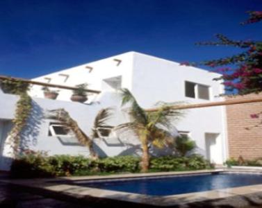 a white building with a palm tree and a swimming pool at Los Milagros Hotel in Cabo San Lucas