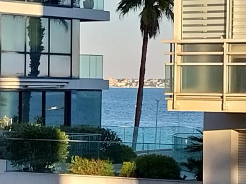 Palm beach Cannes La Brise
