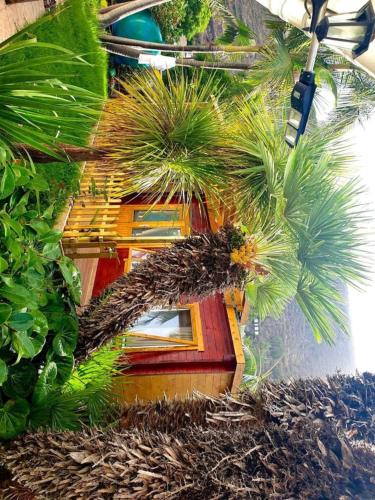 a house with palm trees on the side of it at El Refugio del Valle in La Orotava