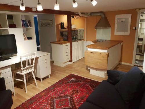 エレブルーにあるCozy studio apartment near city centrumのソファとキッチンのあるリビングルーム