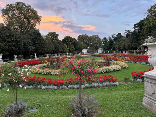 科隆Köln Wohnung 4 min nähe von Hbf und Dom mit Garten ,Balkon & office的公园里种着五颜六色花的花园