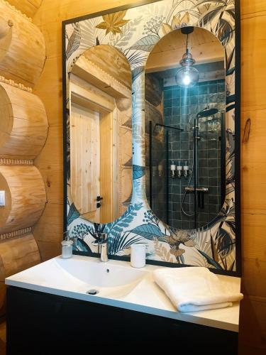 a bathroom with a sink and a mirror at Ski&Chill Rafaczówki in Poronin