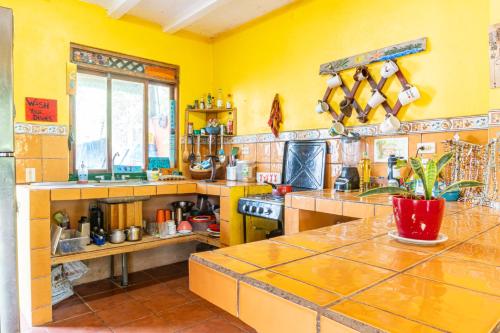 Kuchyň nebo kuchyňský kout v ubytování Casa Terra Hostel