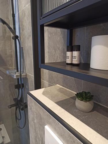 a bathroom with two bottles ofodorizers on a shelf at Sodi Cozy apartment in Kardítsa