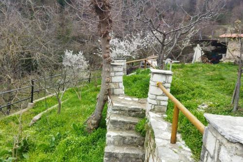 a stone wall with a tree in a field at Stone Mountainhouse near Kalavryta, North Peloponnese, Greece in Dhoumená