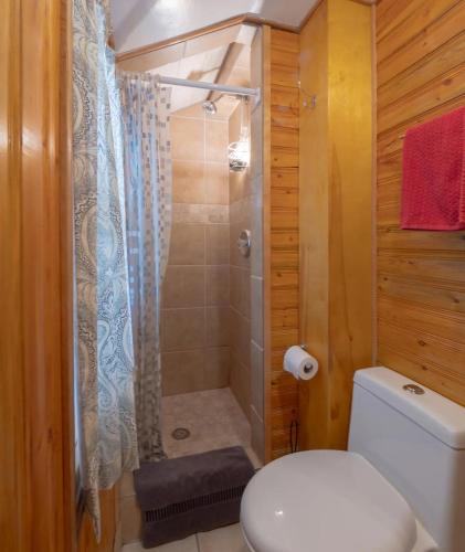 a bathroom with a toilet and a shower at Hillside Bungalows in Banff