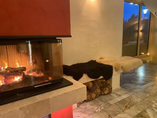 Κατοικίδιο ή κατοικίδια επισκεπτών που μένουν στο Die Finca
