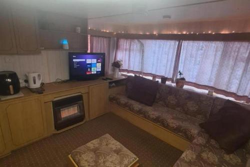 a living room with a couch and a television at Cozy Cardiff Cabin Retreat sleeps 6 by Aimee in Cardiff