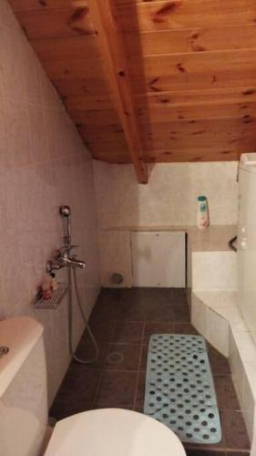 a small bathroom with a toilet and a sink at Stone Mountainhouse near Kalavryta, North Peloponnese, Greece in Dhoumená