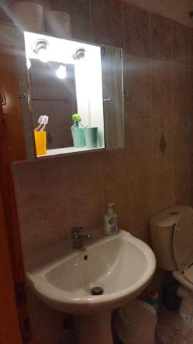 a bathroom with a sink and a toilet and a mirror at Stone Mountainhouse near Kalavryta, North Peloponnese, Greece in Dhoumená