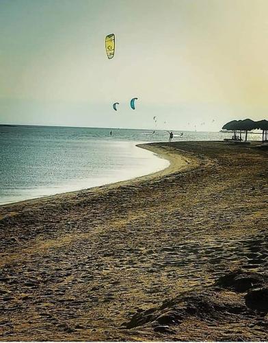 a group of people flying kites on a beach at Green Sudr Kitesurfing Hotel in Raʼs Matarma