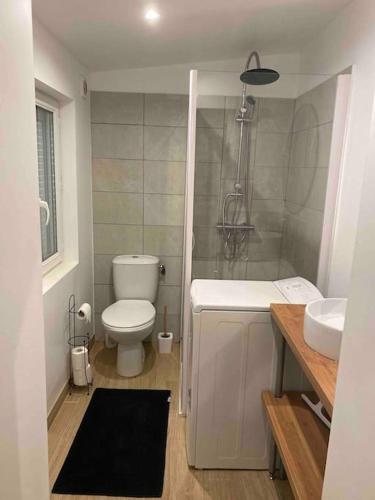 une petite salle de bain avec toilettes et lavabo dans l'établissement Logement entier 3P proche centre ville, à Saint-Quentin