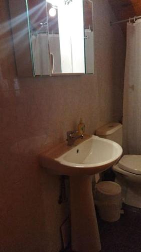 a bathroom with a sink and a toilet and a mirror at Stone Mountainhouse near Kalavryta, North Peloponnese, Greece in Dhoumená