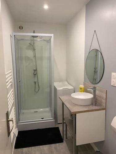 une salle de bain avec une douche, un lavabo et un miroir dans l'établissement Superbe F2 - 1er étage proche centre ville 3P Wifi, à Saint-Quentin