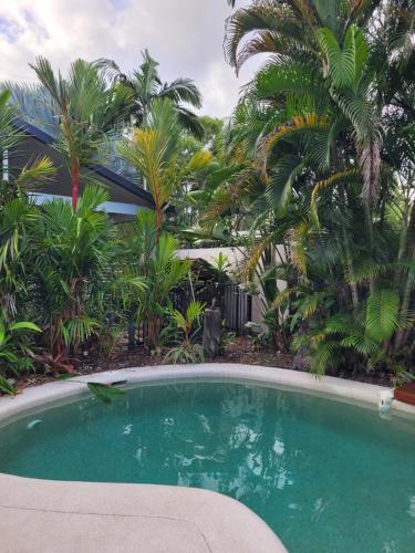 a swimming pool in a yard with palm trees at Oasis on Nautilus in Port Douglas