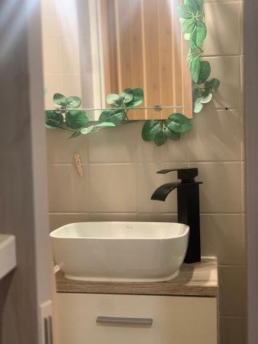 une salle de bain avec un lavabo blanc et un miroir dans l'établissement Le repaire des héros 150m plage parking privé - lesvoyagescolorés, à Saint-Valery-en-Caux