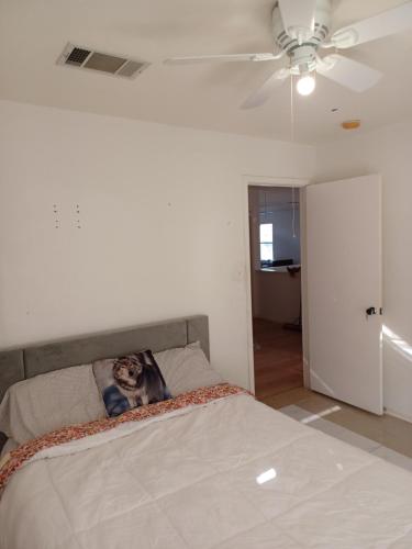 a bedroom with a bed with a ceiling fan at Big Cosi Room Near Austin in Pflugerville