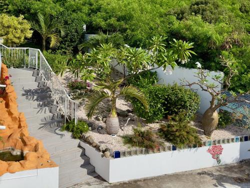 a garden with a staircase with trees and plants at Atypik Villa in Cul de Sac
