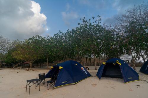 two blue tents on a sandy beach with trees at Camp Gili X - Gili Tangkong Island in Pulau Gilinanggu