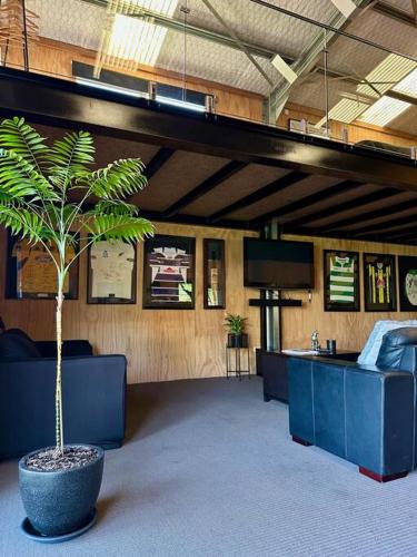 a room with a potted tree in the middle at Mount Jowett Retreat in Whanganui