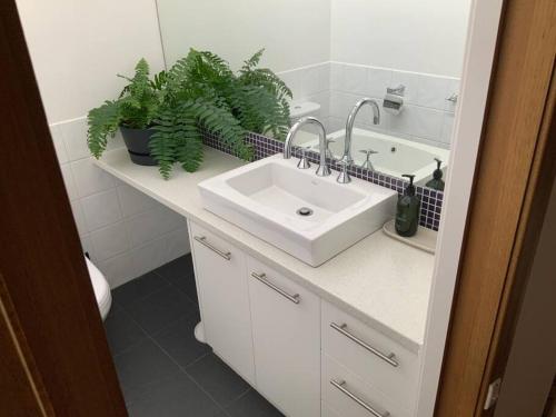 Mount ClearRelaxed and stylish -self check in, secure parking的一个带水槽和台面植物的浴室
