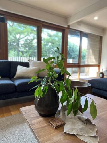 a vase sitting on a table in a living room at Relaxed and stylish -self check in, secure parking in Mount Clear