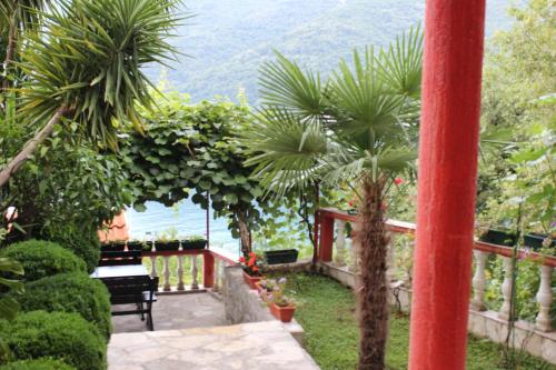 a view from the garden of a house with palm trees at Apartments Mijuskovic in Donji Morinj