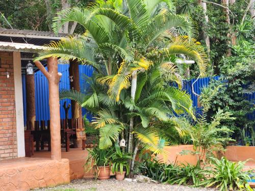 Fotografie z fotogalerie ubytování Escape v destinaci Comayagua
