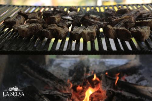 a bunch of meat on a grill with a fire at HOTEL LA SELVA Reserva in La Vega