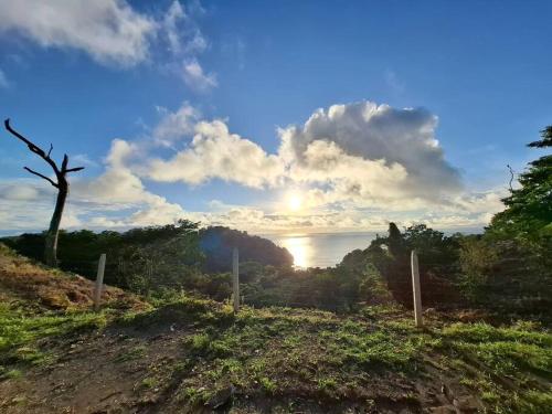 a view of the sunset from a hill with a tree at Forest Love in Quepos