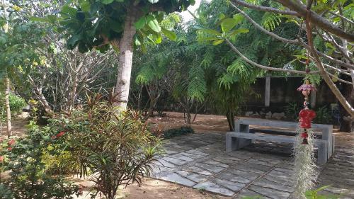 a bench sitting in the middle of a garden at The Danish Villa Resort in Arugam Bay