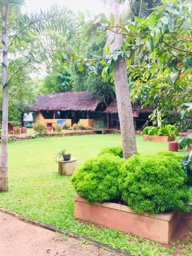 Zahrada ubytování Harambathenna Resort Anuradhapura