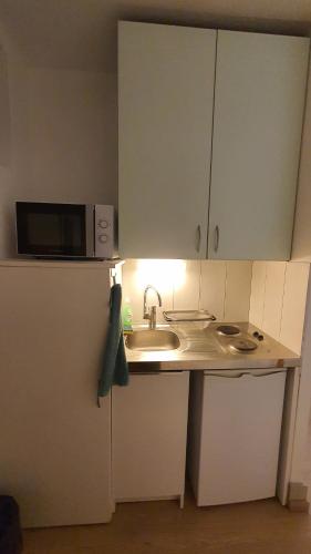 La cuisine est équipée d'un évier, d'un four micro-ondes et d'un réfrigérateur. dans l'établissement Studio charmant, à Strasbourg