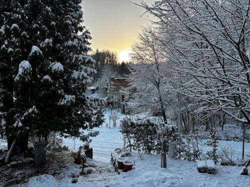 a snow covered street with a tree and a sunset at Dům ve Skaláku in Hrubá Skála
