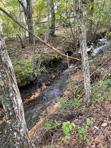 a stream of water in a forest with trees at Villa Tocca北軽井沢ヴィラ トッカ in Kita-karuizawa