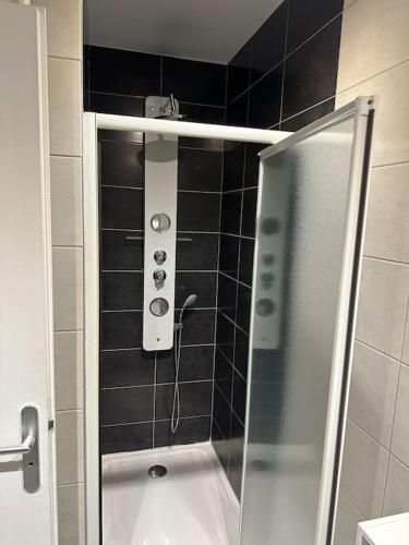 une douche avec une porte vitrée dans une salle de bain dans l'établissement Appartement cosy Nancy Bonsecours, à Jarville-la-Malgrange