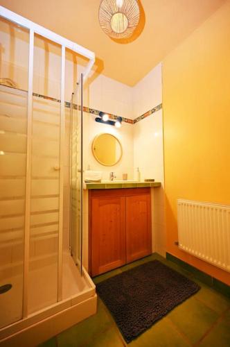 une salle de bain avec une douche, un lavabo et un miroir dans l'établissement La Villa Noyau Doux, à Ampuis