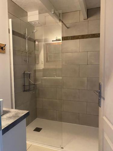 une douche avec une porte vitrée dans une salle de bain dans l'établissement Le Domaine du Petit Bois, gîte Le Verger, à Varzay