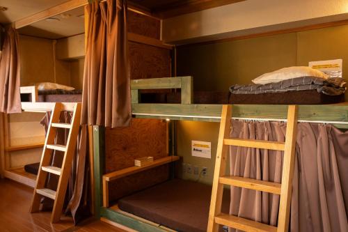 Palanda nebo palandy na pokoji v ubytování Local Knot Backpackers