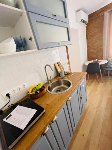 a kitchen with a sink and a counter top at Vamesu Frontiers in Sibiu