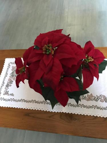 Gite chez Annette et Pierre Weber