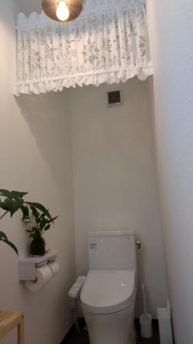 a bathroom with a toilet with a curtain above it at 民泊haruna in Yufuin