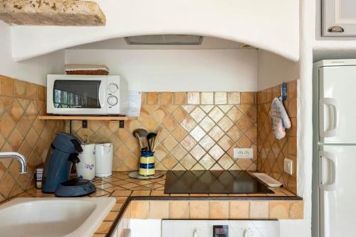 une cuisine avec un évier et un micro-ondes dans l'établissement Le cabanon, 3 étoiles, sa piscine au pied du Luberon, à Saint-Saturnin-lès-Apt