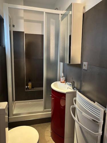 une salle de bain avec une douche, un lavabo et des toilettes dans l'établissement Appart Nausicaa en plein centre-ville, à Le Touquet-Paris-Plage