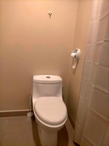 a bathroom with a white toilet and a shower at Avida Towers Riala, Tower 2 in Cebu City