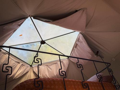 a view from the inside of a large umbrella at Stay Classy - Domes in Otterlo