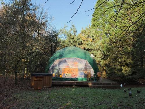 a green dome tent sitting in a field at Stay Classy - Domes in Otterlo